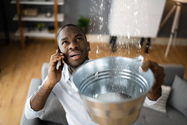 Water damage restoration mold remediation in Navy Yard City, WA