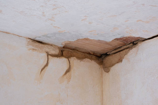 Best Local water damage restoration  in Navy Yard City, WA