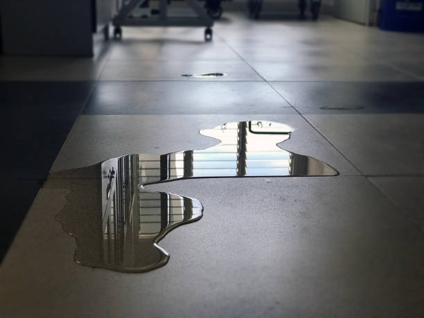 Best Commercial water damage restoration  in Navy Yard City, WA